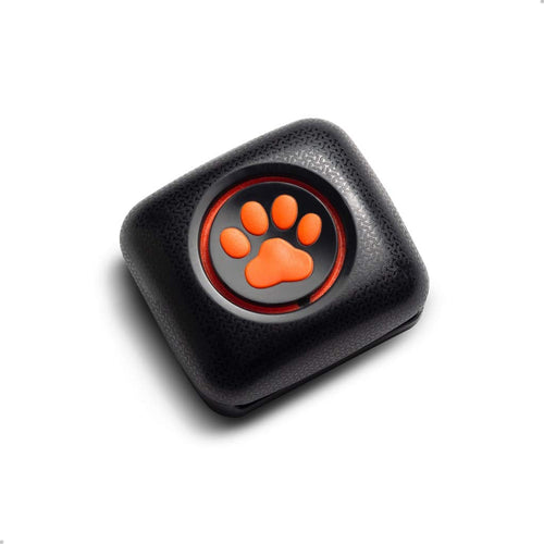 PitPat Dog Activity Monitor and Fitness Tracker - Lightweight and waterproof with no recharging or subscription (latest version, as seen on television)