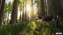 Hunting Simulator Hunting on PS4 Game